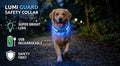Light Up Dog Collar for Night Walks - Rechargeable LED Safety Collar