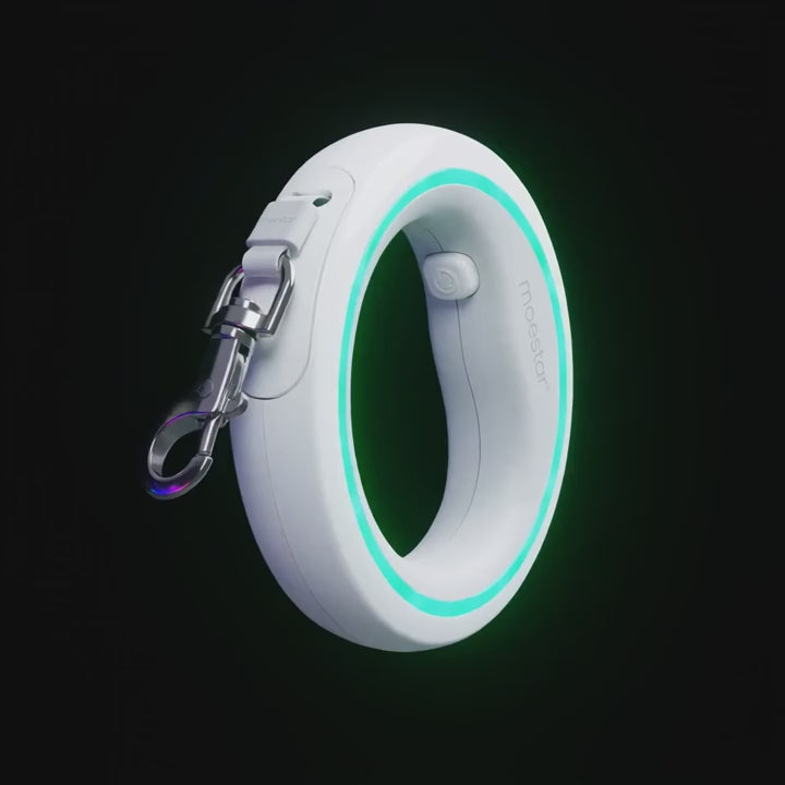 UFO Dog Leash From Alien World | Rechargeable LED Retractable